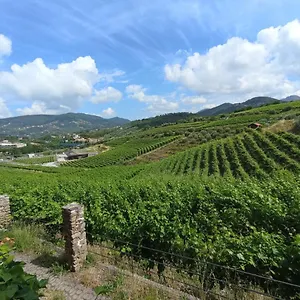 Al Vigneto Apartment